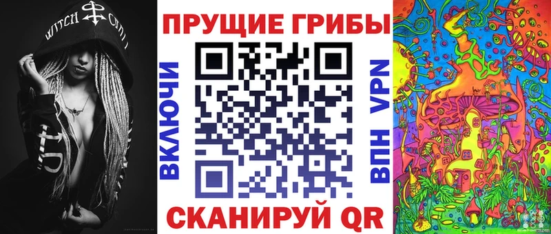 darknet клад  наркошоп  Знаменск  Псилоцибиновые грибы MAGIC MUSHROOMS  mega зеркало 